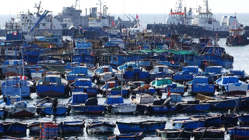 A busy harbor with numerous fishing boats docked.