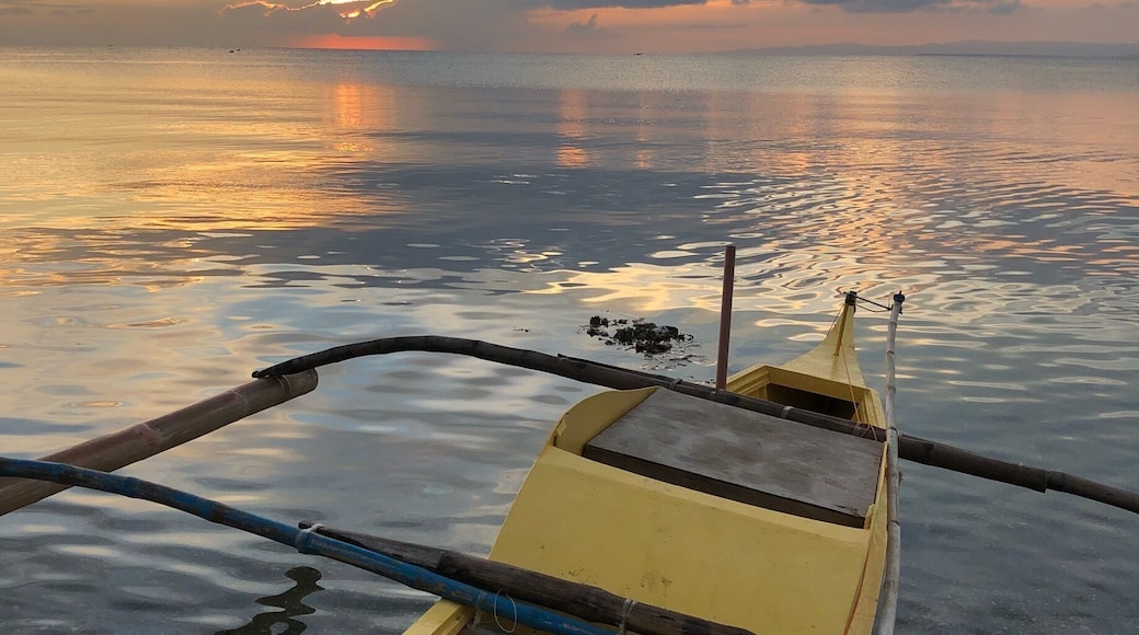 Living like a local in Argao. Calm waters at 5am and perfect temperature to go for a swim. #LikeALocal