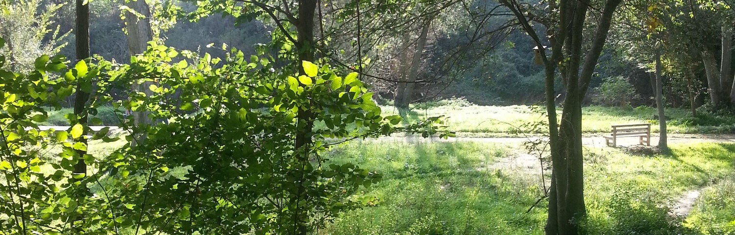 Cami a la Font dels Frares - Riera de Vilalleons