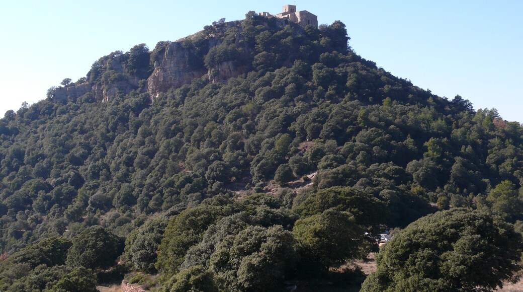 Castell de Tagamanent