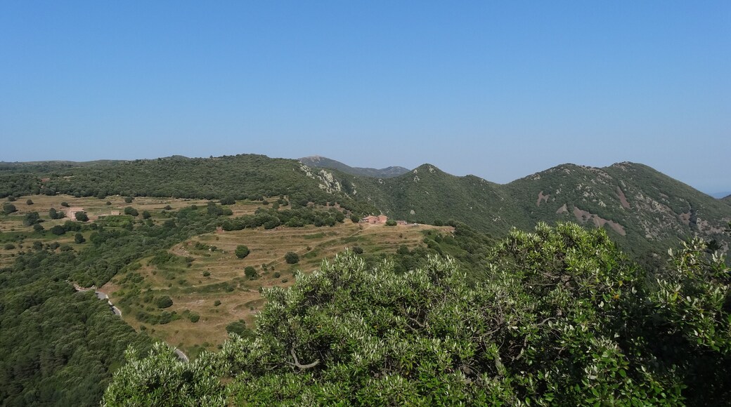 Cim del Sui al fons des de Santa Maria de Tagamanent (juliol 2012)