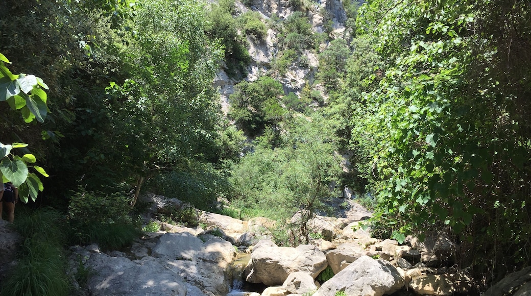 Montagut i Oix, Province of Girona, Spain