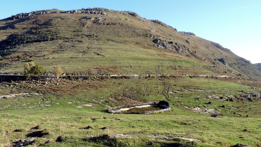 A green hillside with a stone wall and a small pond.
