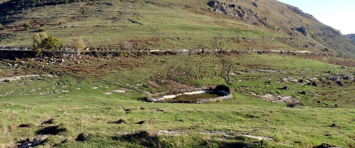 A green hillside with a stone wall and a small pond.