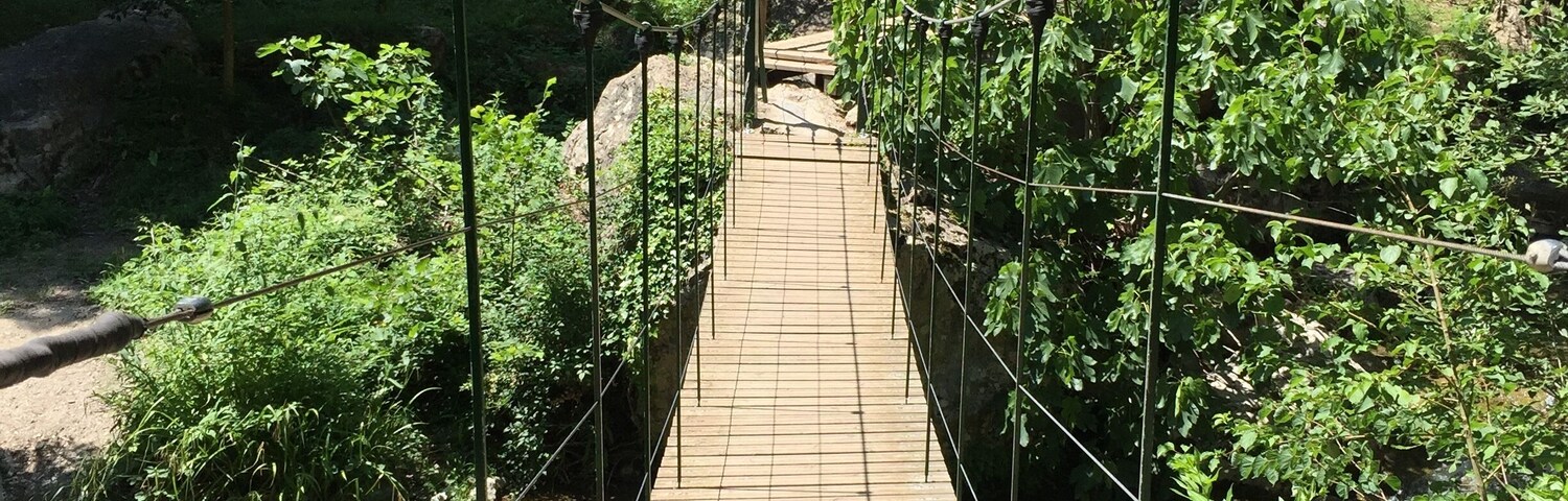 Un puente colgante de madera en un área boscosa con abundante vegetación y una estructura de piedra al fondo.