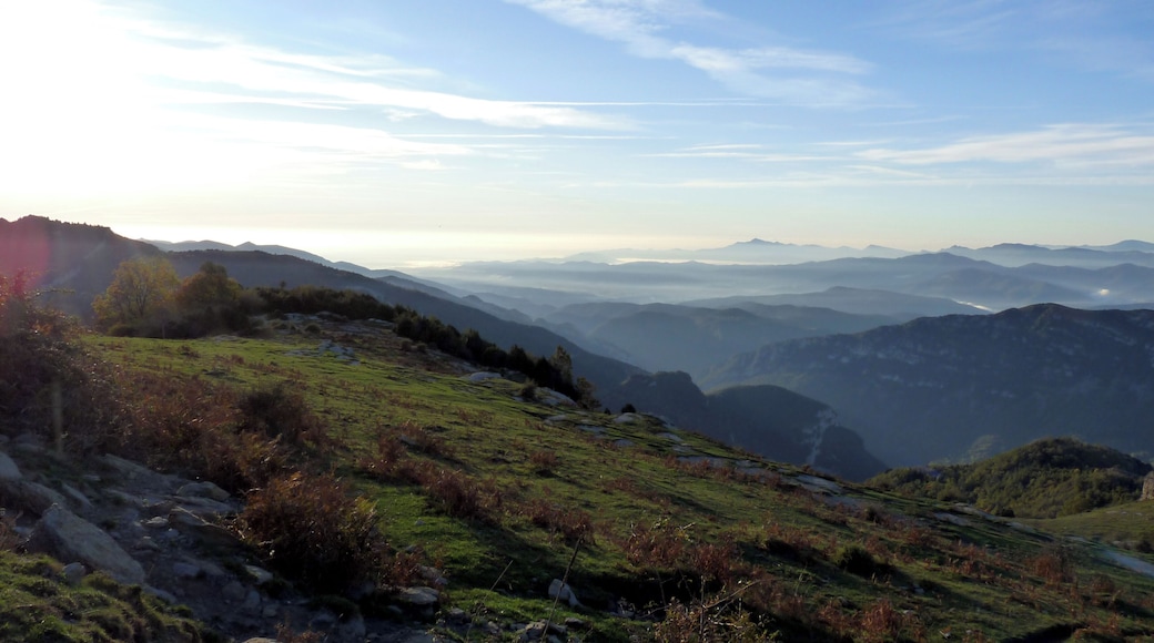 View on the Garrotxa near the Coma Negra