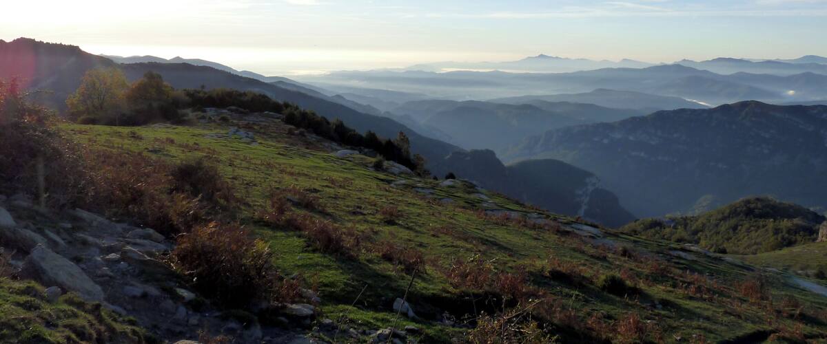 View on the Garrotxa near the Coma Negra