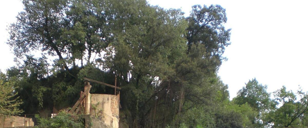 Molí Fondo (setembre 2010)