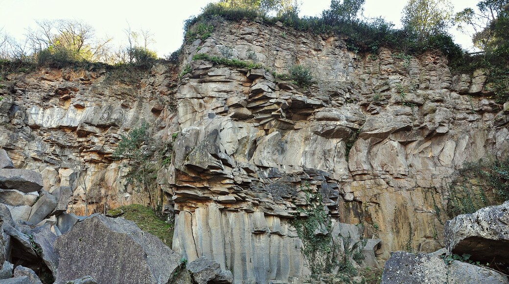 coladas de lava-la garrotxa