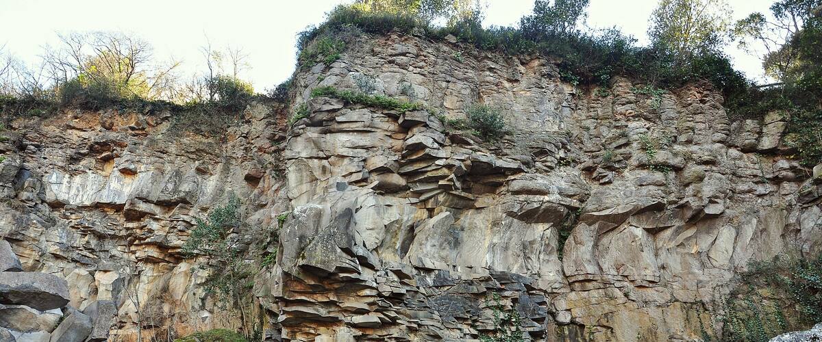 A rocky cliff with layered rock formations and some vegetation growing on it.