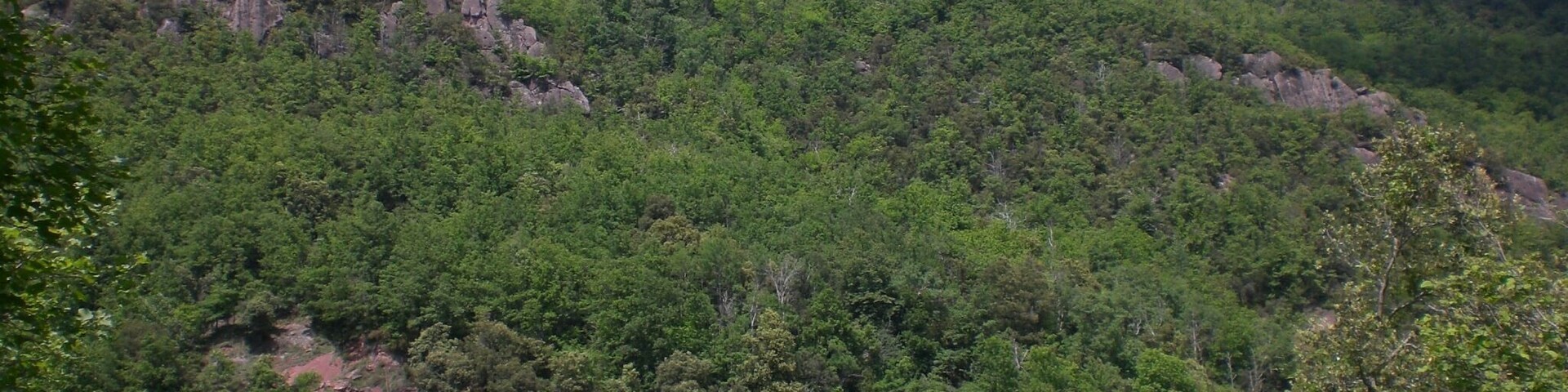 Hostal de la Muga (maig 2011)