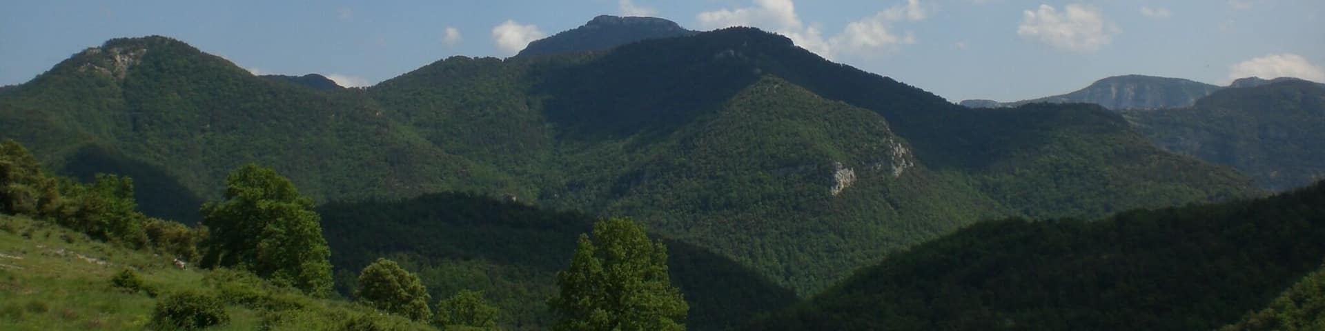 Vistes al SE des del Mas Sobirà (maig 2011)