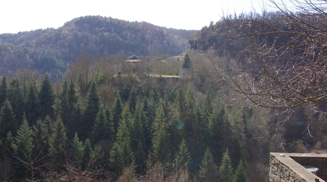 Capella de Santa Magdalena (Rupit i Pruit)