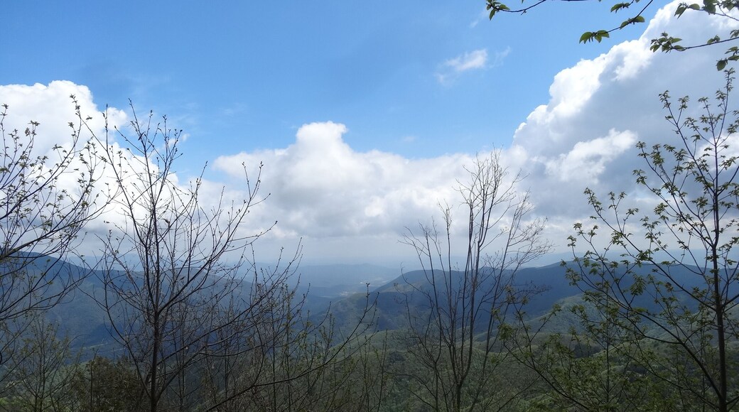 Osor, Province of Girona, Spain