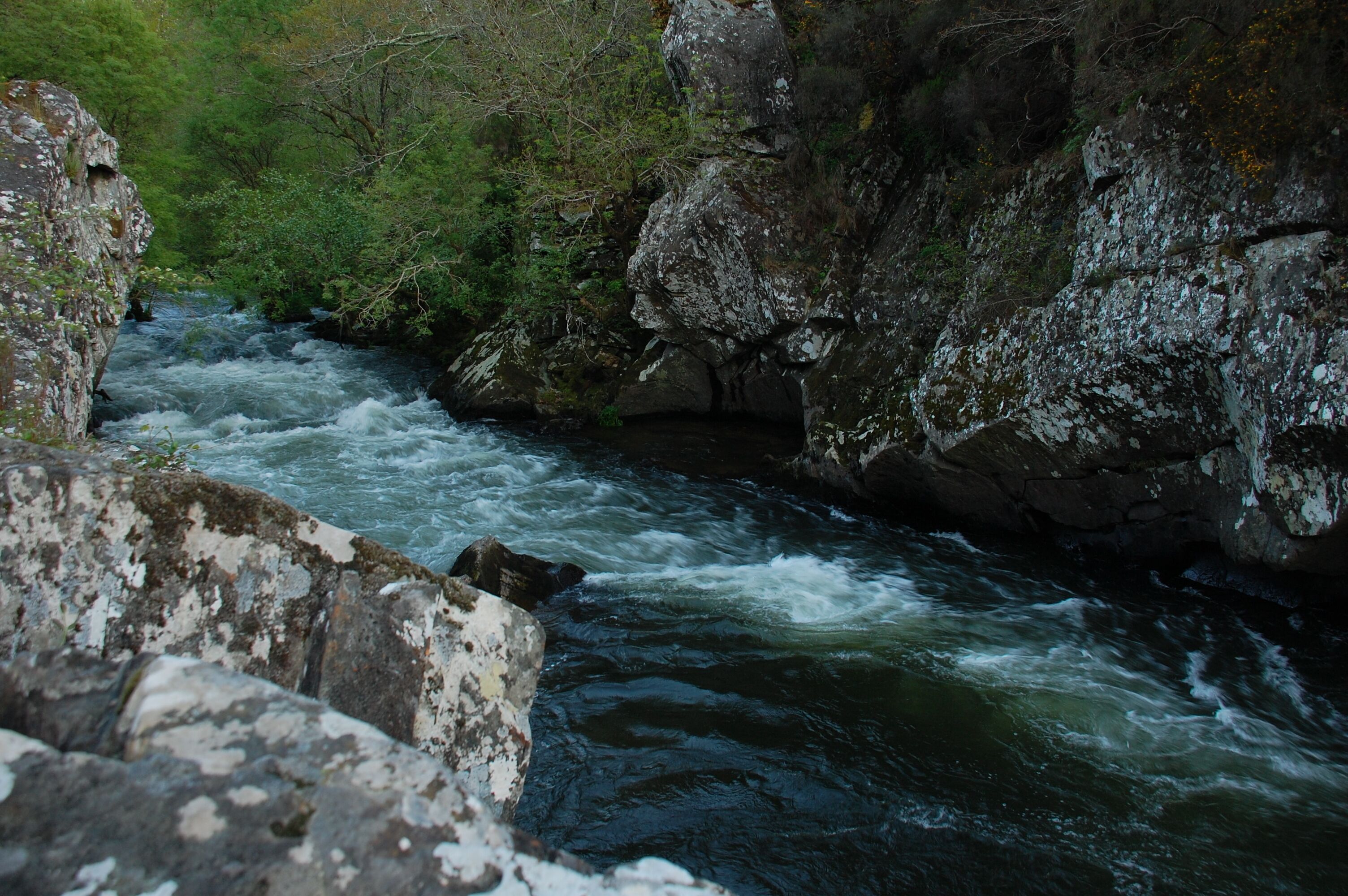 This is a photography of a Site of Community Importance in Spain with the ID: