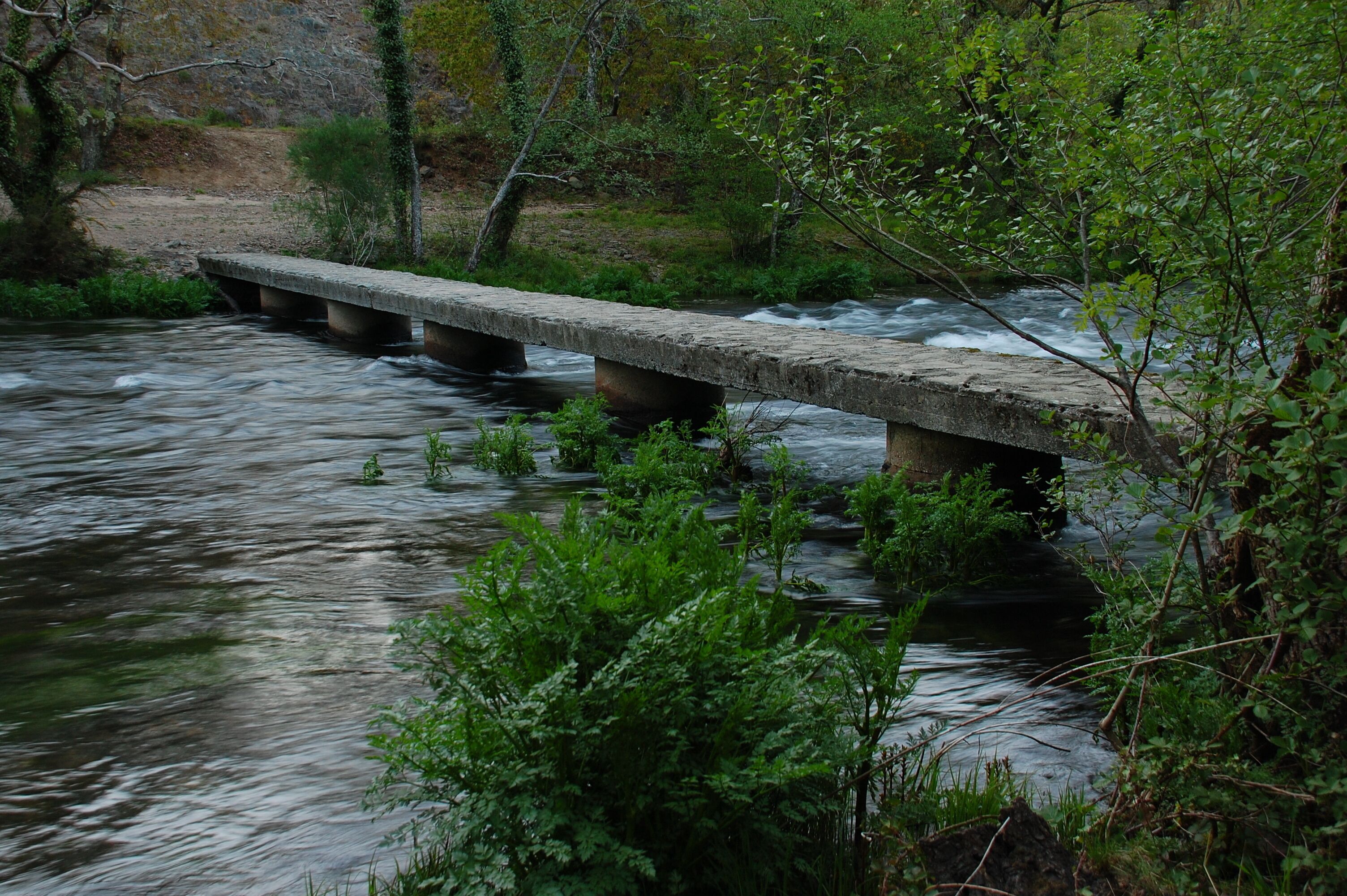 A concrete bridge over a flowing river surrounded by greenery.