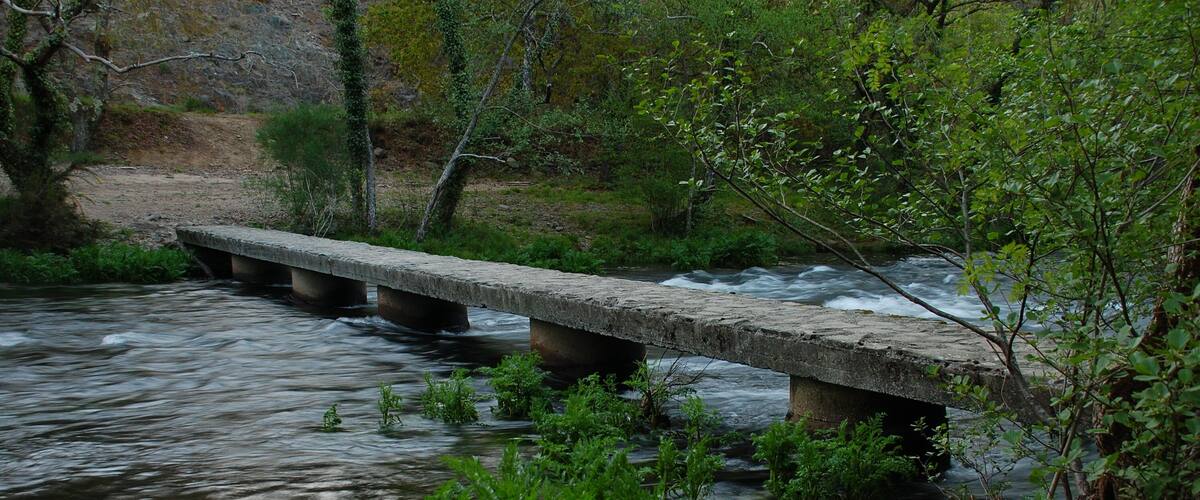 A concrete bridge over a flowing river surrounded by greenery.