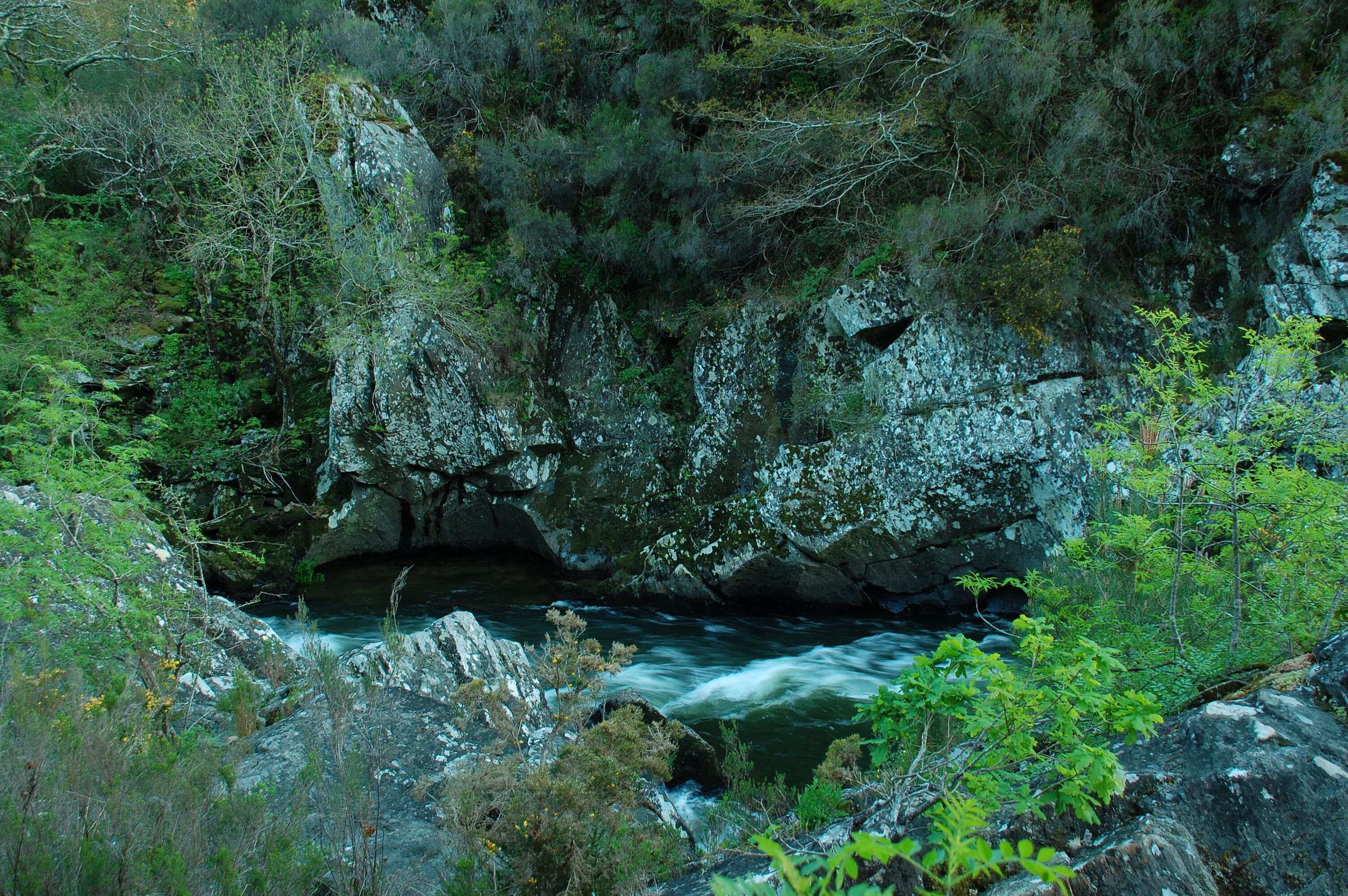 This is a photography of a Site of Community Importance in Spain with the ID: