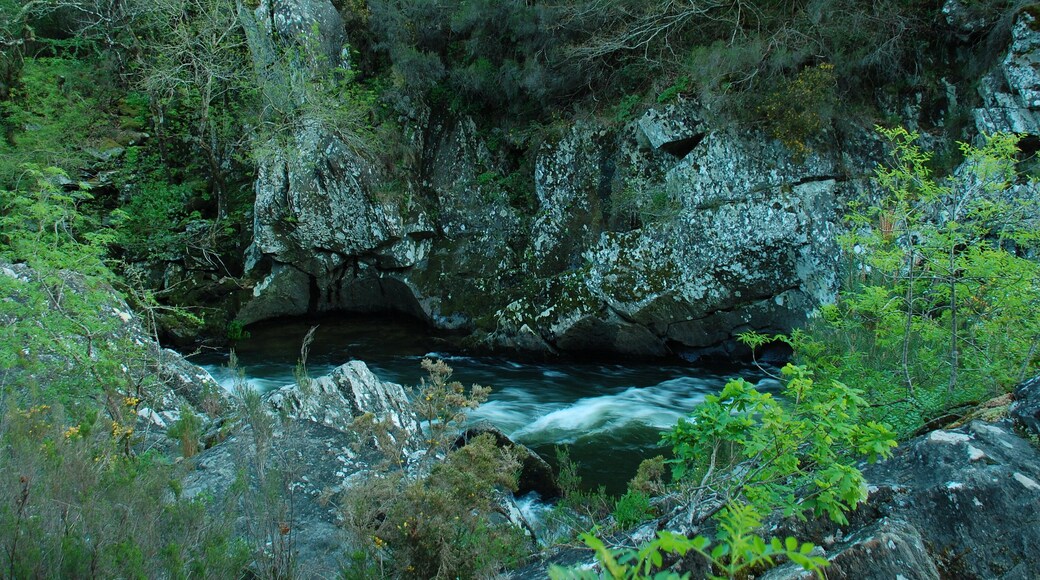 This is a photography of a Site of Community Importance in Spain with the ID: