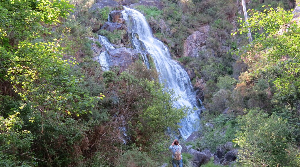 fervenza de Cadarnoxo