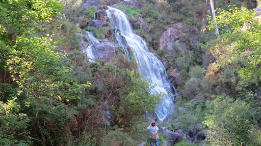 fervenza de Cadarnoxo