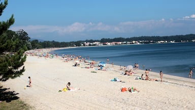 A crowded beach with people sunbathing and swimming.