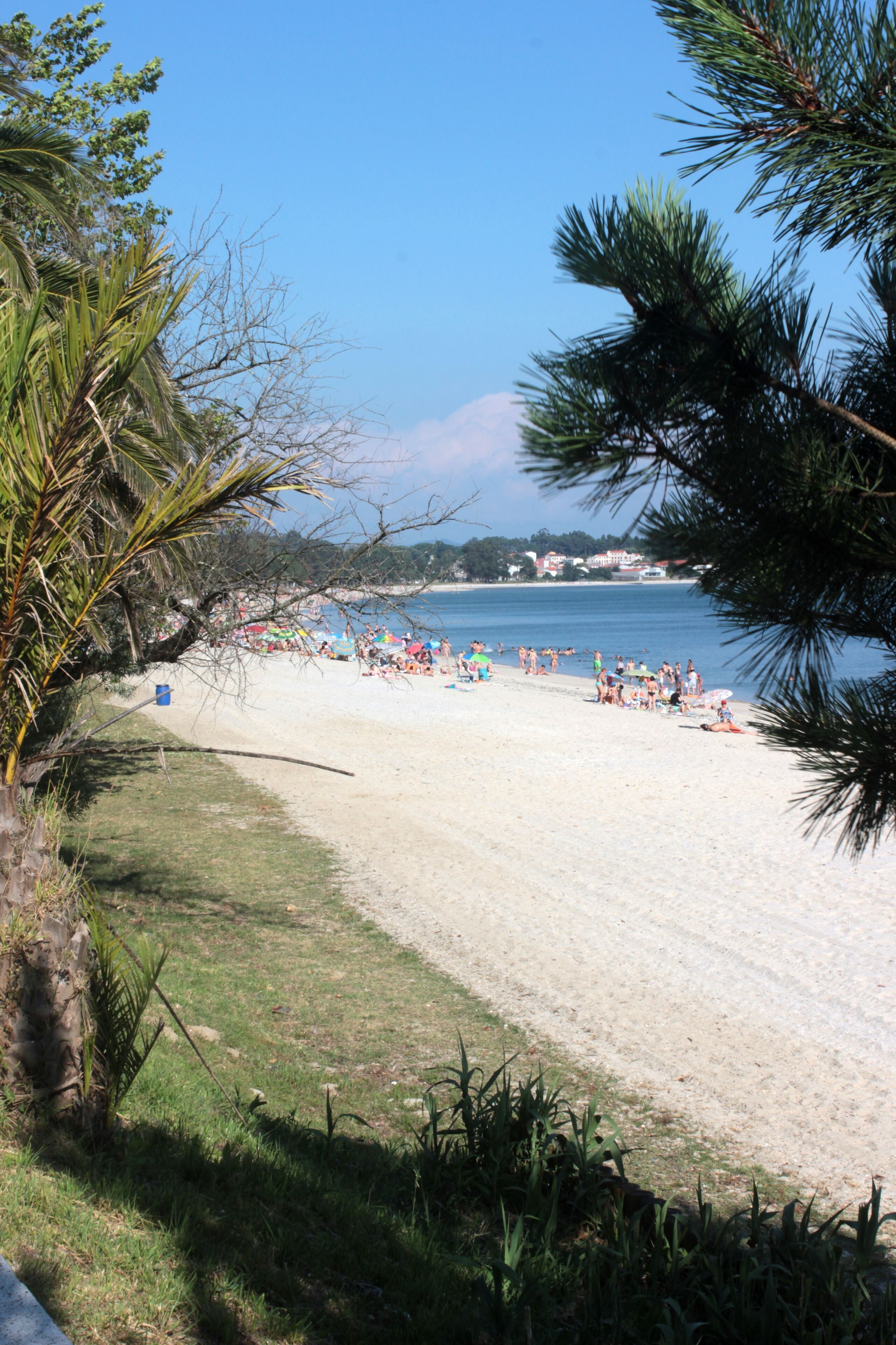 A beach with people sunbathing and swimming, surrounded by palm trees and a clear blue sky.