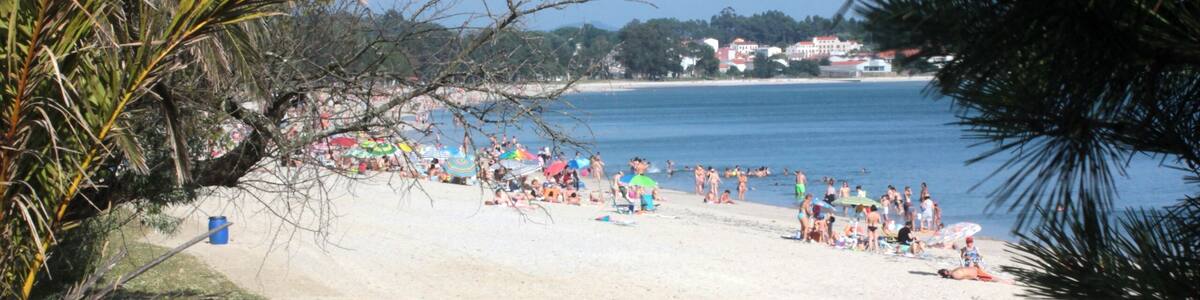 Une plage où des gens se prélassent au soleil et se baignent, entourée de palmiers et surplombée d’un ciel bleu clair.