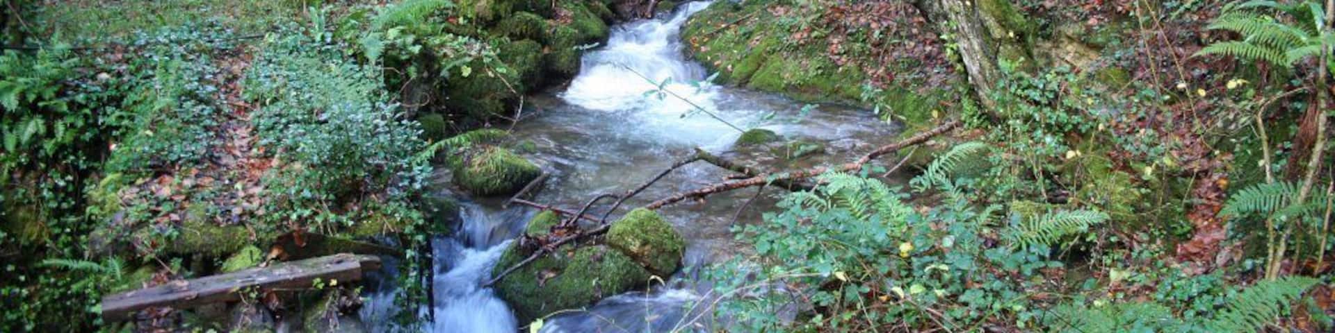 Reguero del Pigueña