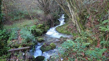 Reguero del Pigueña