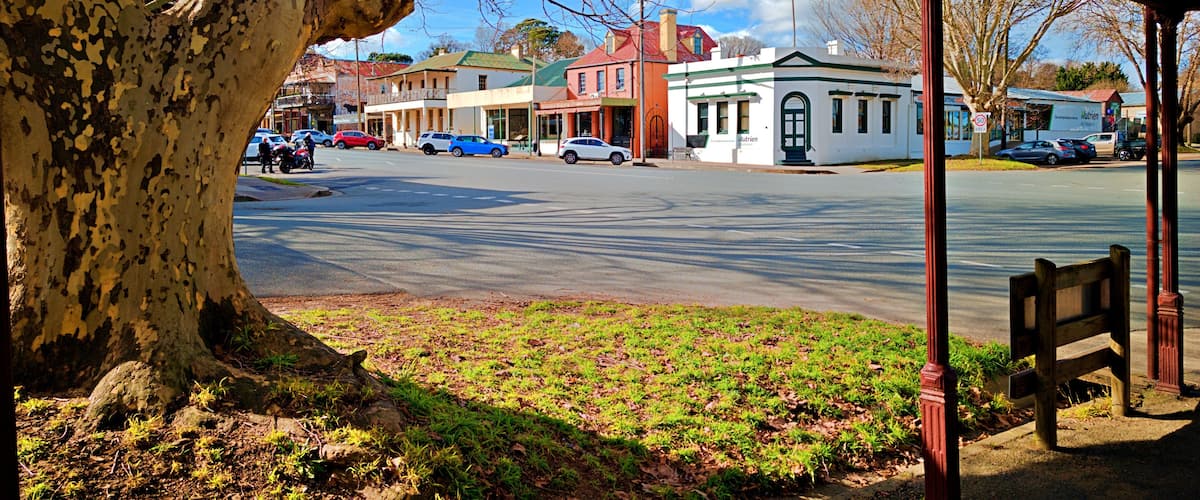 A tree-lined street with parked cars and a building with a green roof.