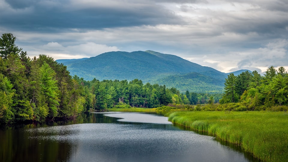 A river winding through a forest with a mountain in the background.