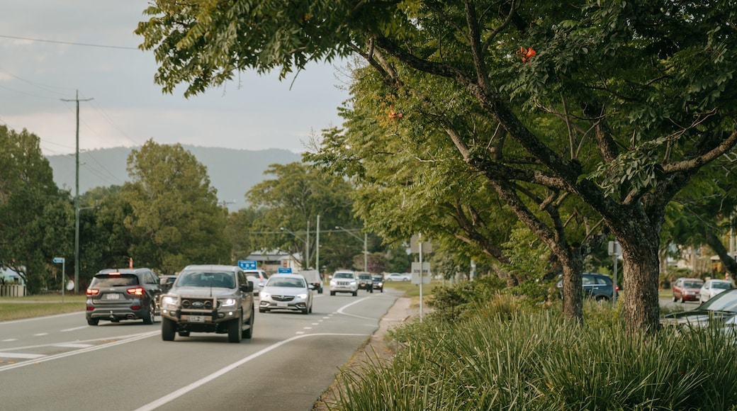 Woodford showing a park