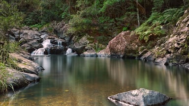 In Queensland’s Sunshine Coast Hinterland, you will find, if you like a good 4x4 drive, Booloumba Cascades and Falls. With crystal waters and wonderful walks, you can even take a swim here. Part of Conondale National Park, certainly worth a night or two camping in the dedicated camping areas. #nationalparks #nature #queensland #roadtrip #daytrip #4x4 #troverrt
