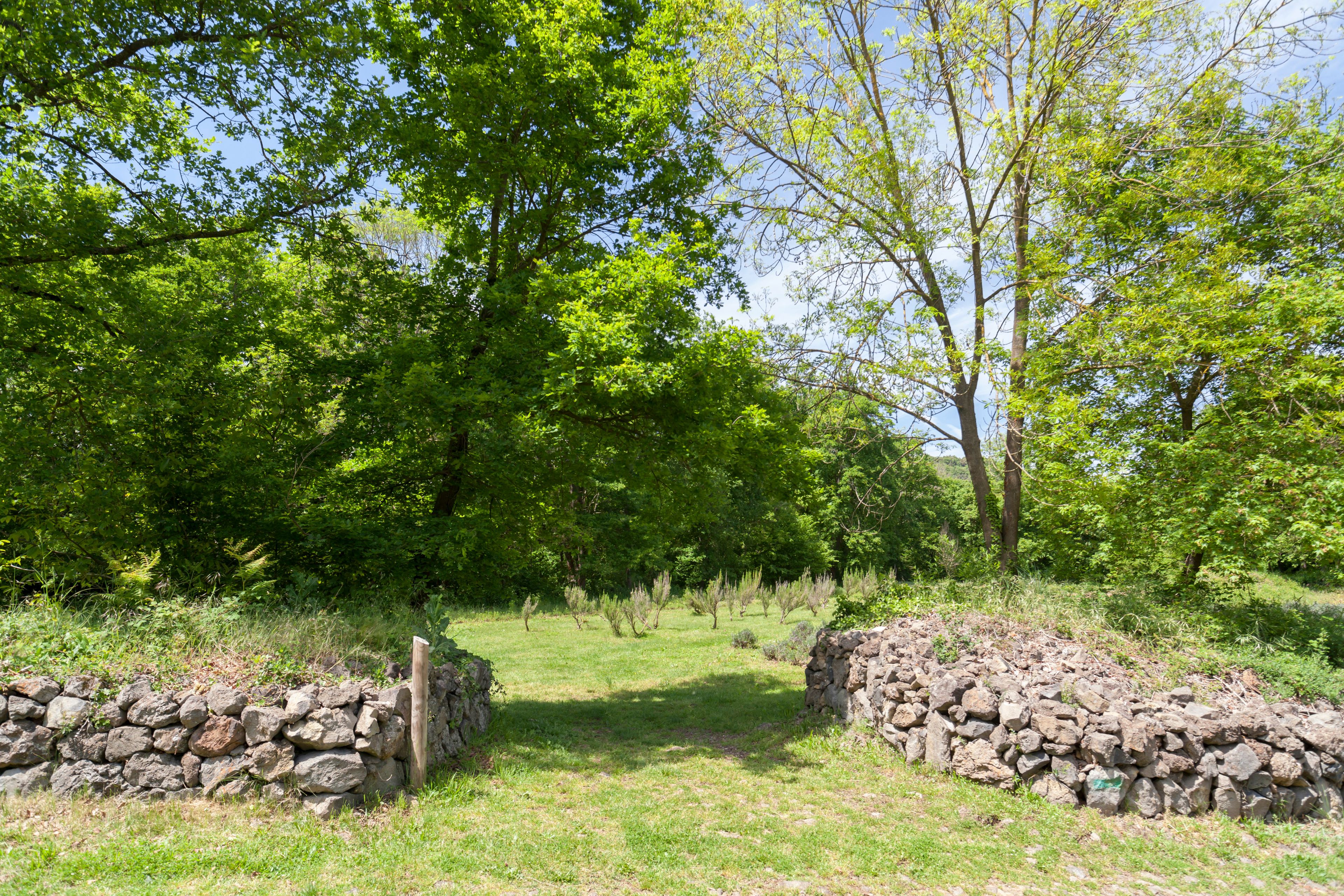 Un muro de piedra con un poste de madera, un campo cubierto de hierba y árboles frondosos al fondo.