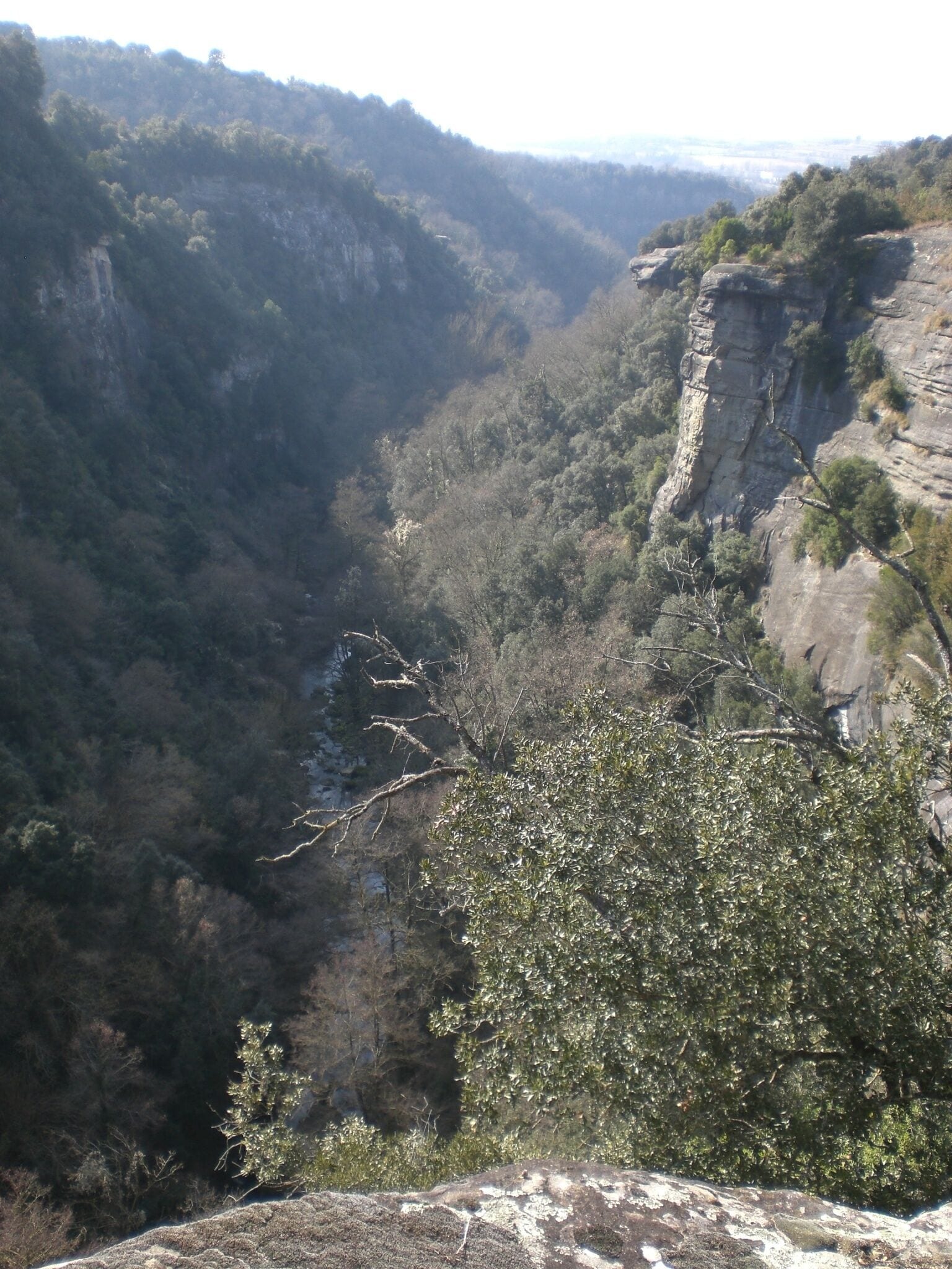 Vistes prop de la Barra de Ferro (febrer 2011)