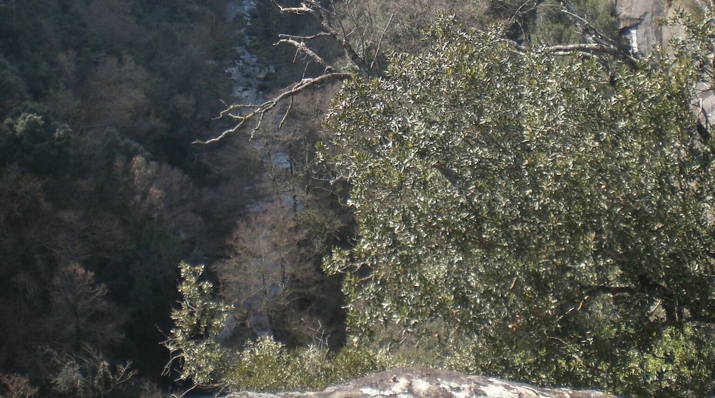 Vistes prop de la Barra de Ferro (febrer 2011)