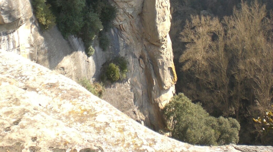 Barra de Ferro (febrer 2011)