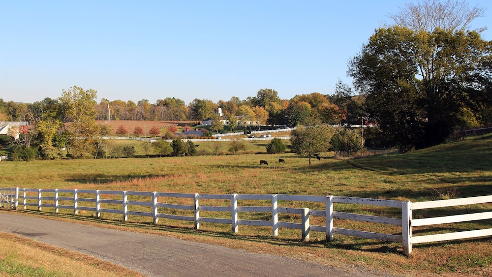 Typical American farm landscape in the fall, Barboursville, Virginia
