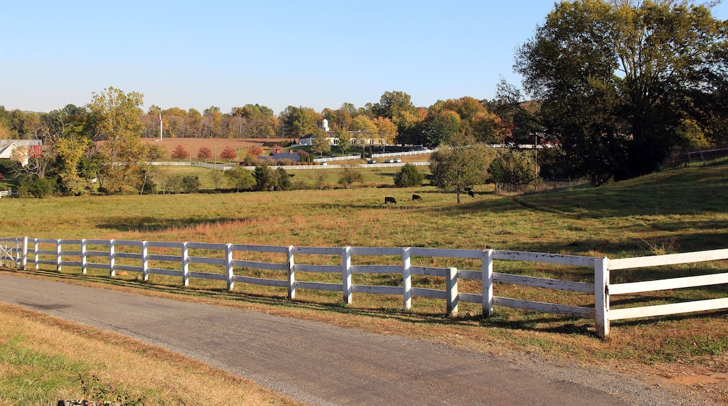 Typical American farm landscape in the fall, Barboursville, Virginia