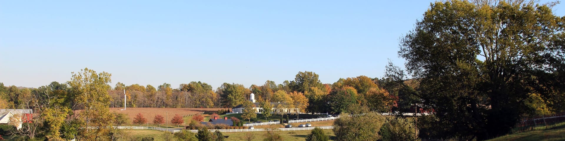 Typical American farm landscape in the fall, Barboursville, Virginia