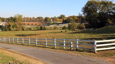 Typical American farm landscape in the fall, Barboursville, Virginia