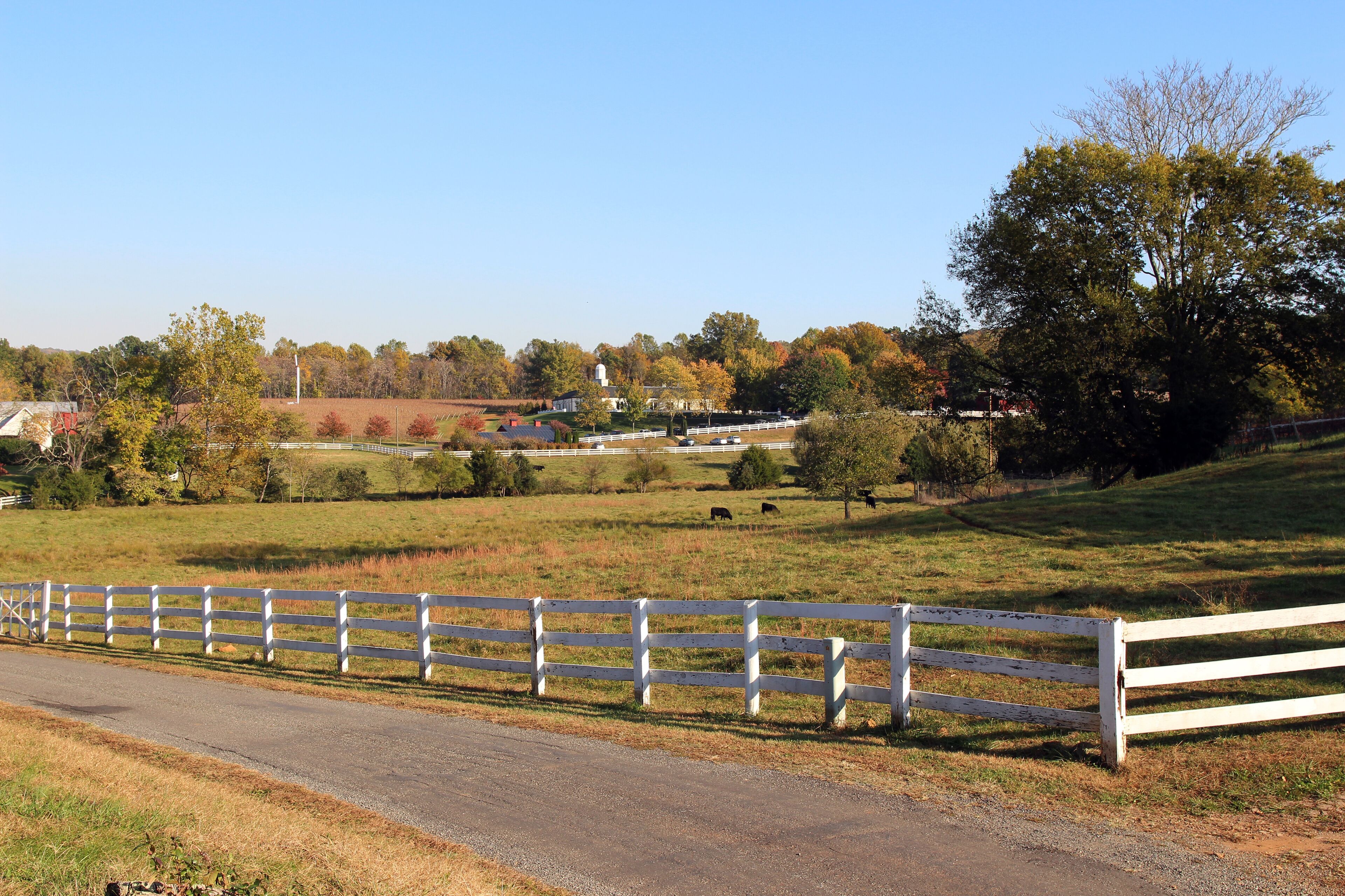 A rural landscape with a white fence, green fields, and a few buildings in the distance.