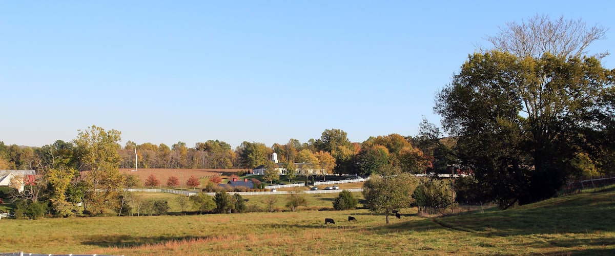 A rural landscape with a white fence, green fields, and a few buildings in the distance.
