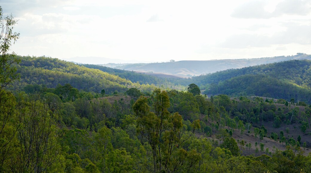 Landscape view from the top of a hill, Kooralbyn