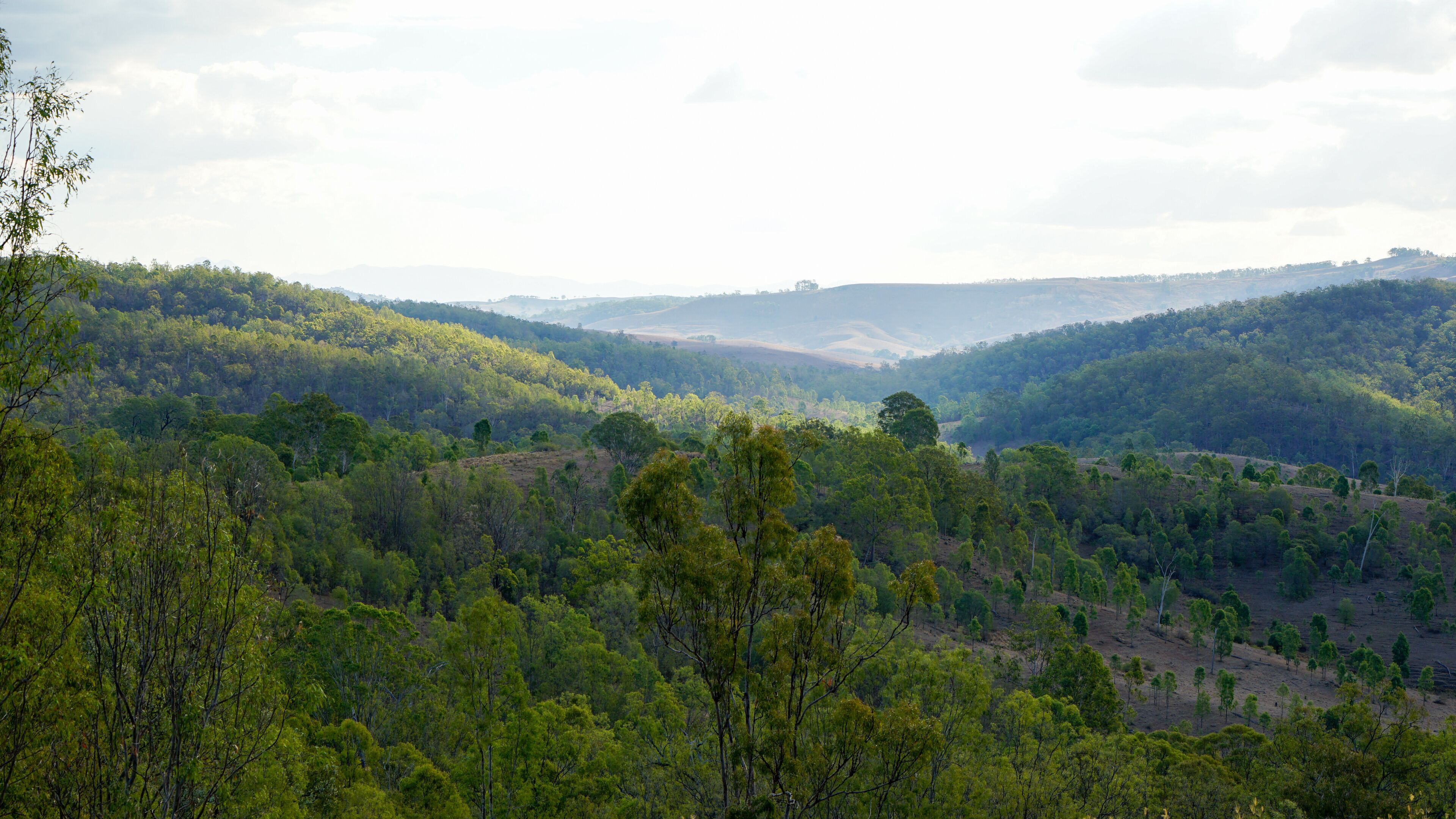 A lush green valley with dense forests and rolling hills.