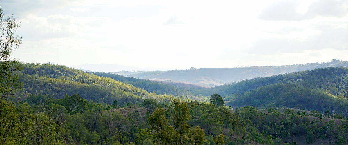 A lush green valley with dense forests and rolling hills.