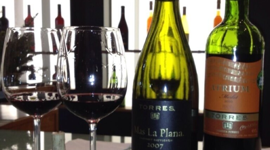 Wine tasting....atrium Merlot and Celeste are the bomb.