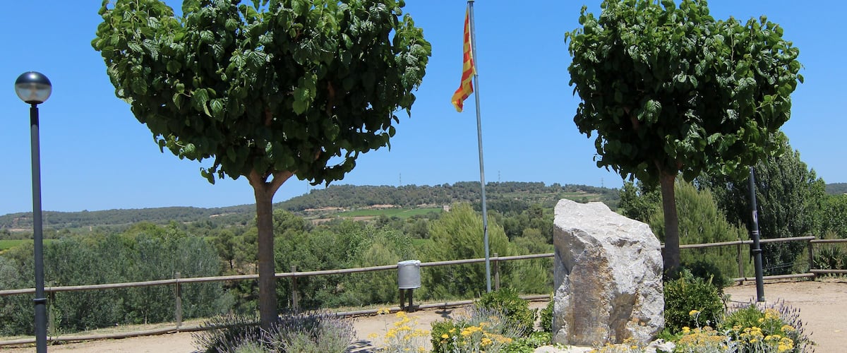 Two trees, a flag, and a rock in a landscaped area with a clear sky.