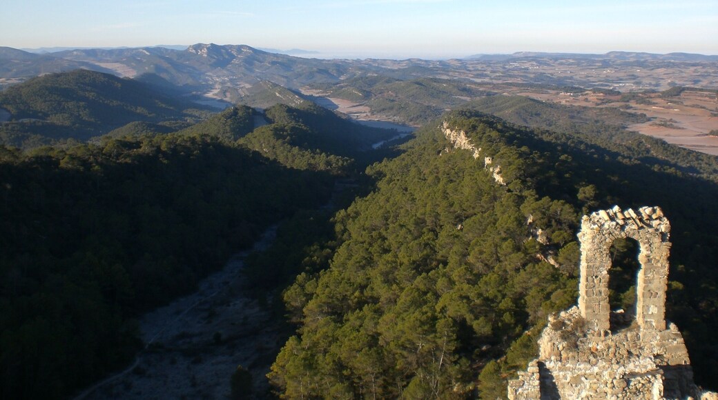Vistes des del Castell de Queralt (desembre 2007)